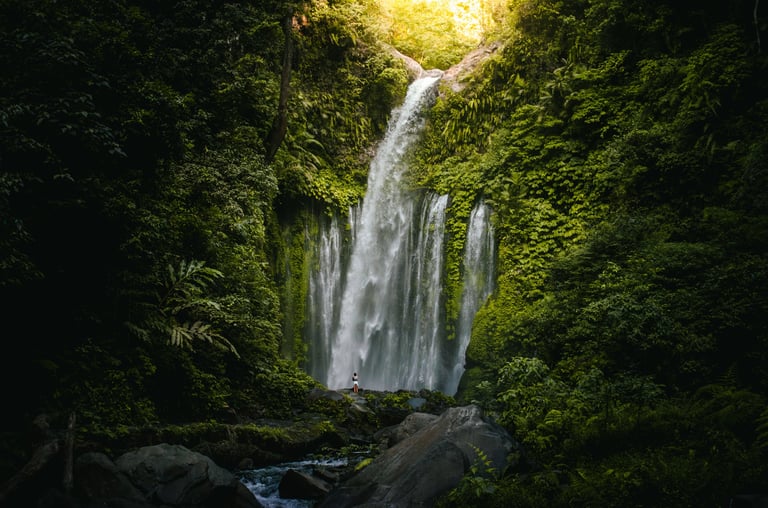 Cascada Misol-Há entre selva tropical