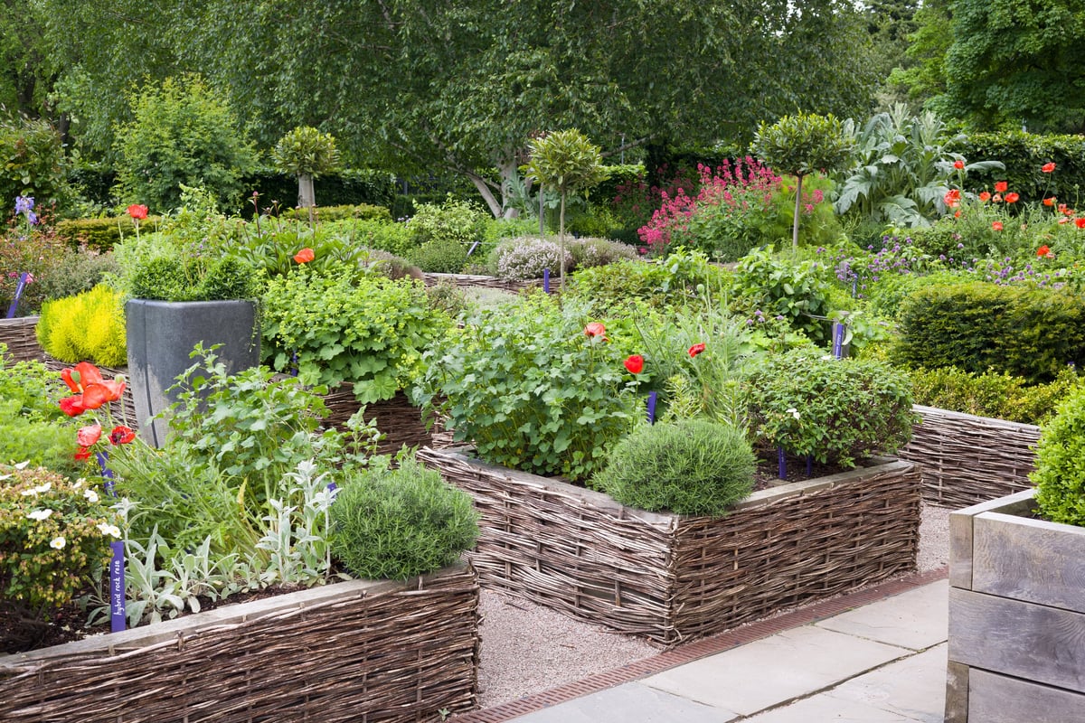 Raised woven garden beds in the historic Physic Garden, Edinburgh, UK
