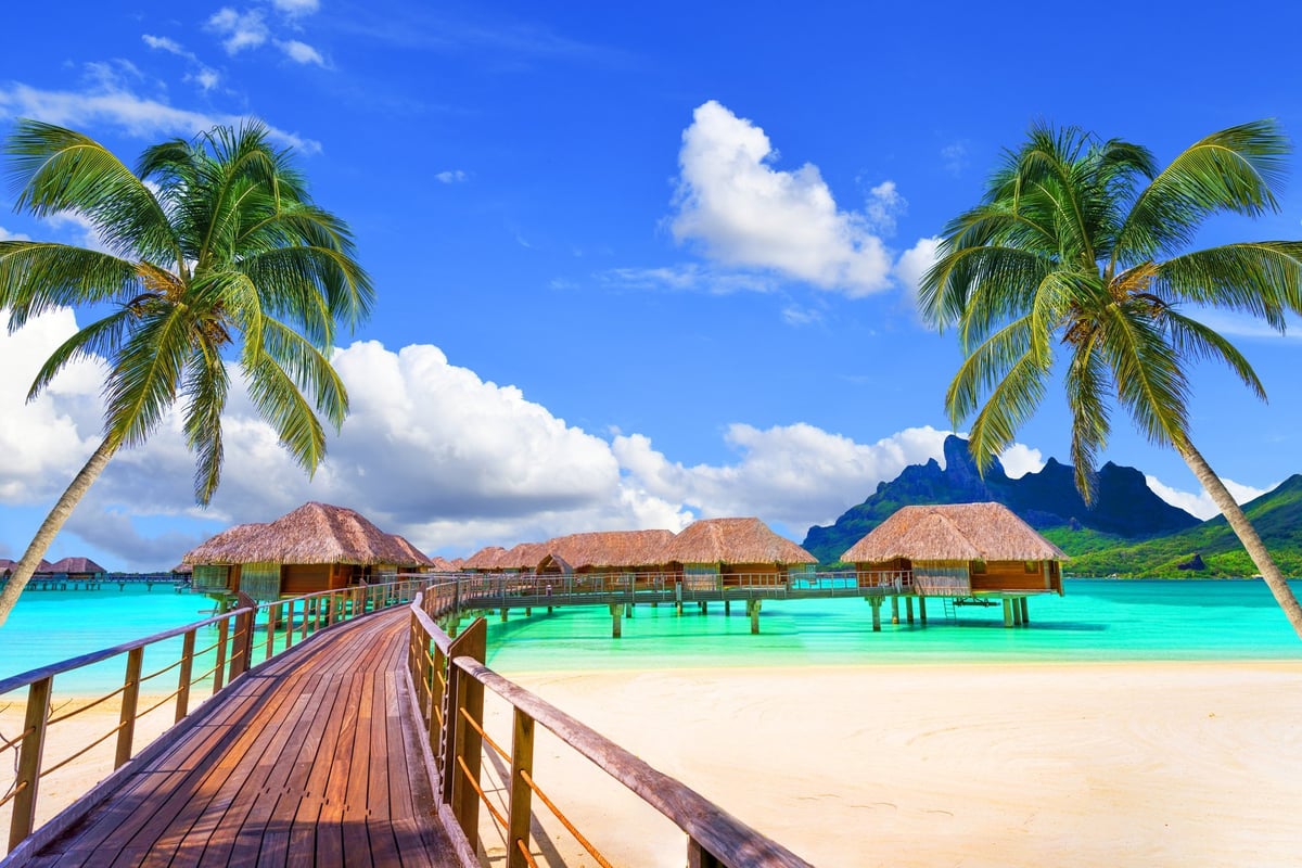 Luxury tropical resort with infinity pool and palm trees