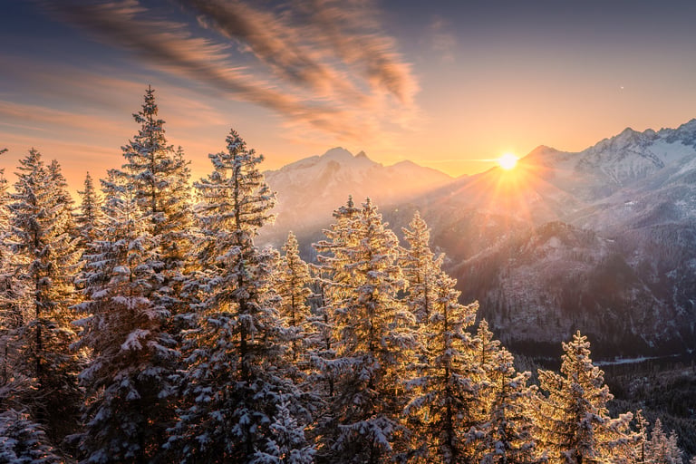Snow-covered mountain landscape with pine forest in winter