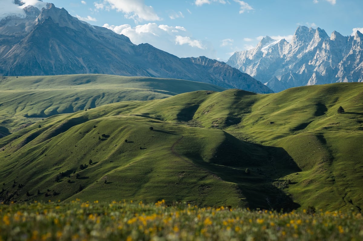 Beautiful high altitude snow capped mountains and forest grassland landscape
