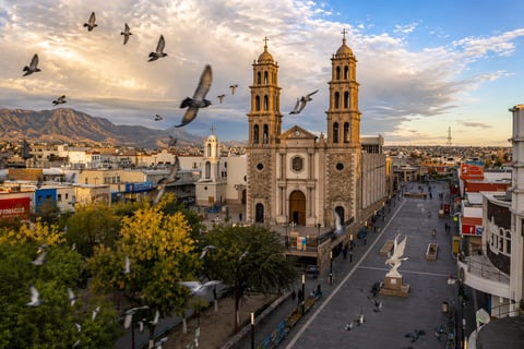 Aerial view of a grand cathedral with twin towers in a Mexican city square, with birds flying overhead and mountains in the distance
