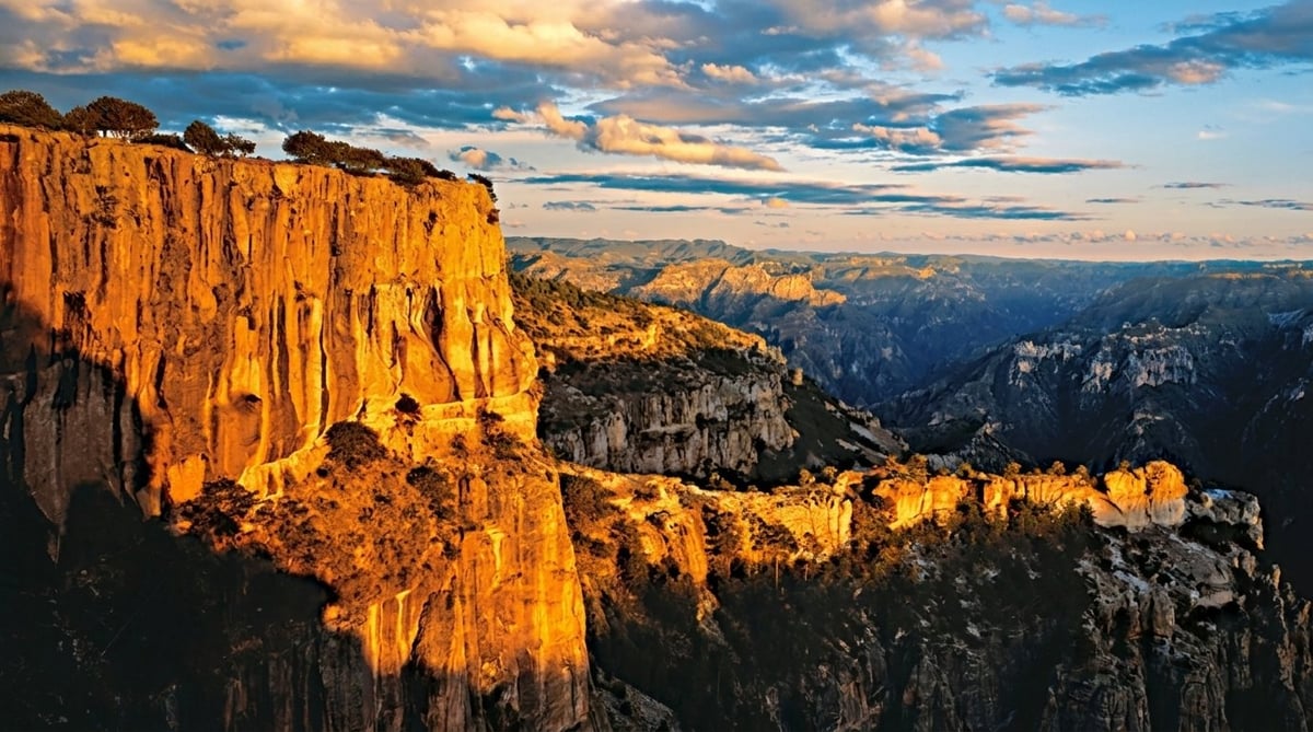 Golden-lit basalt cliffs at sunset overlooking a vast forested canyon landscape