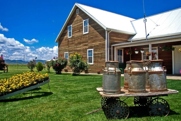 Rustic brown house with white trim on green lawn, metal barrels on wagon in foreground, yellow flowers to left, clear blue sky