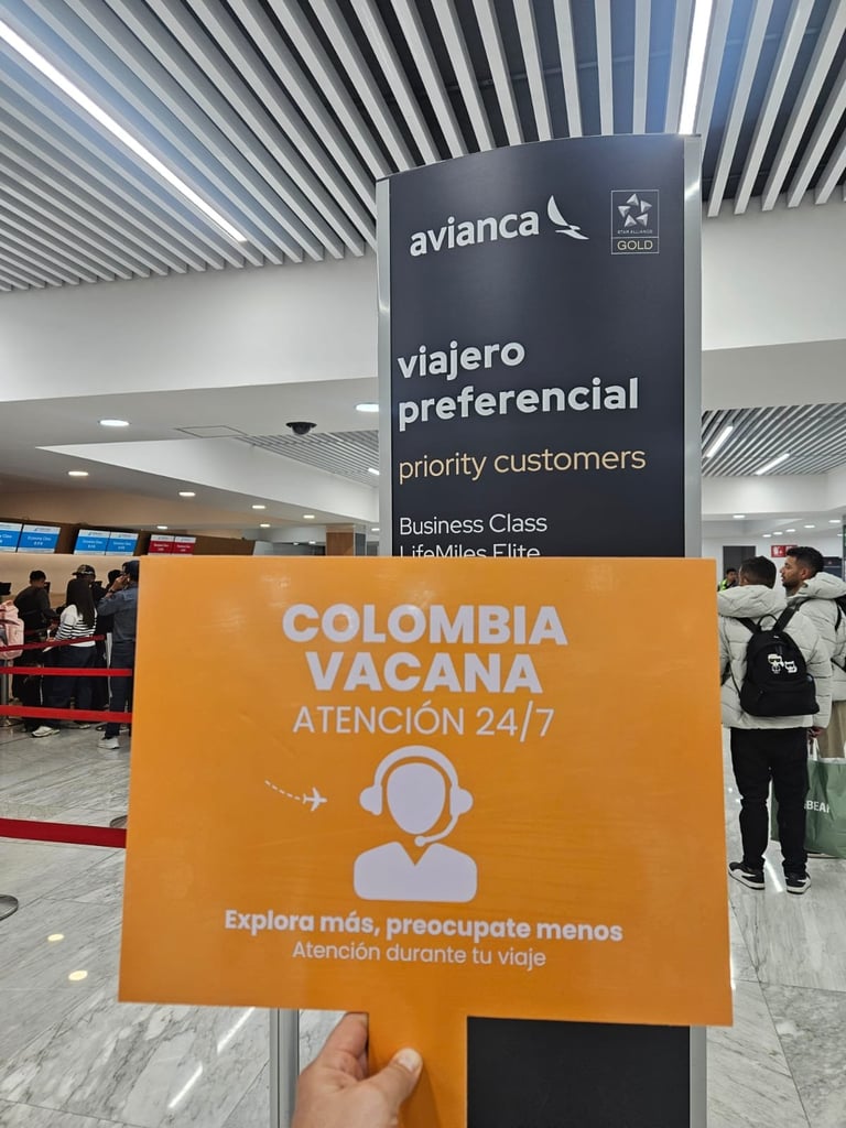 Avión despegando al atardecer