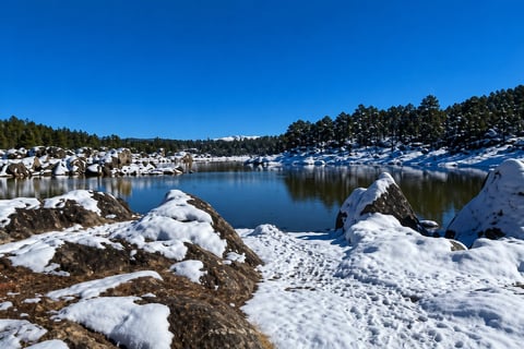 Snow-covered landscape with a frozen lake surrounded by pine trees