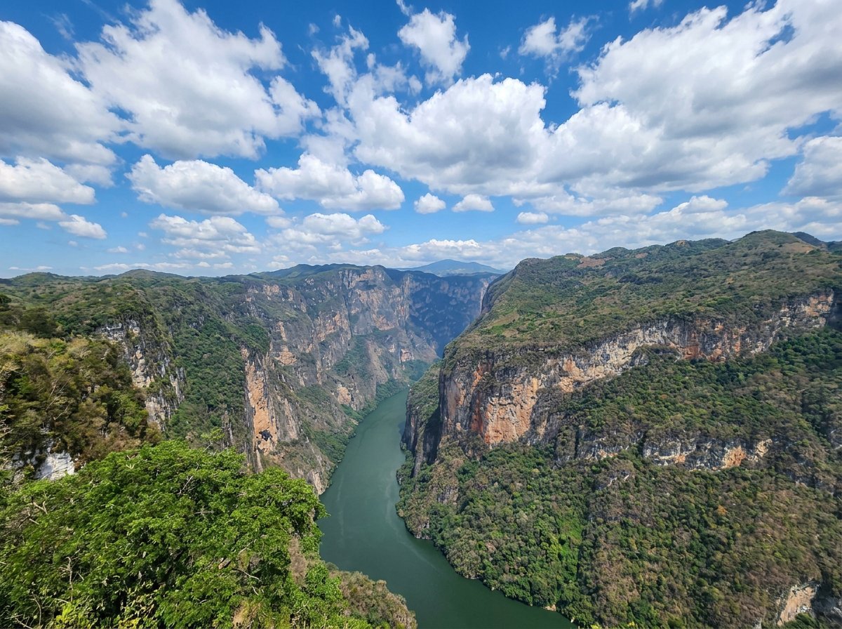Deep river canyon with turquoise water winding through steep rocky cliffs covered in lush green vegetation under blue sky