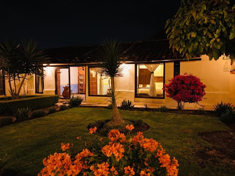 Modern single-story home lit at night with yellow stucco walls, manicured lawn, orange flowering plants in foreground, and decorative trees