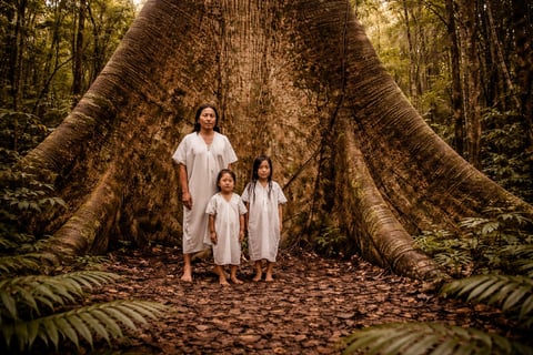 Mujer y dos niños con ropa blanca de pie dentro de un enorme tronco hueco de árbol en un bosque exuberante
