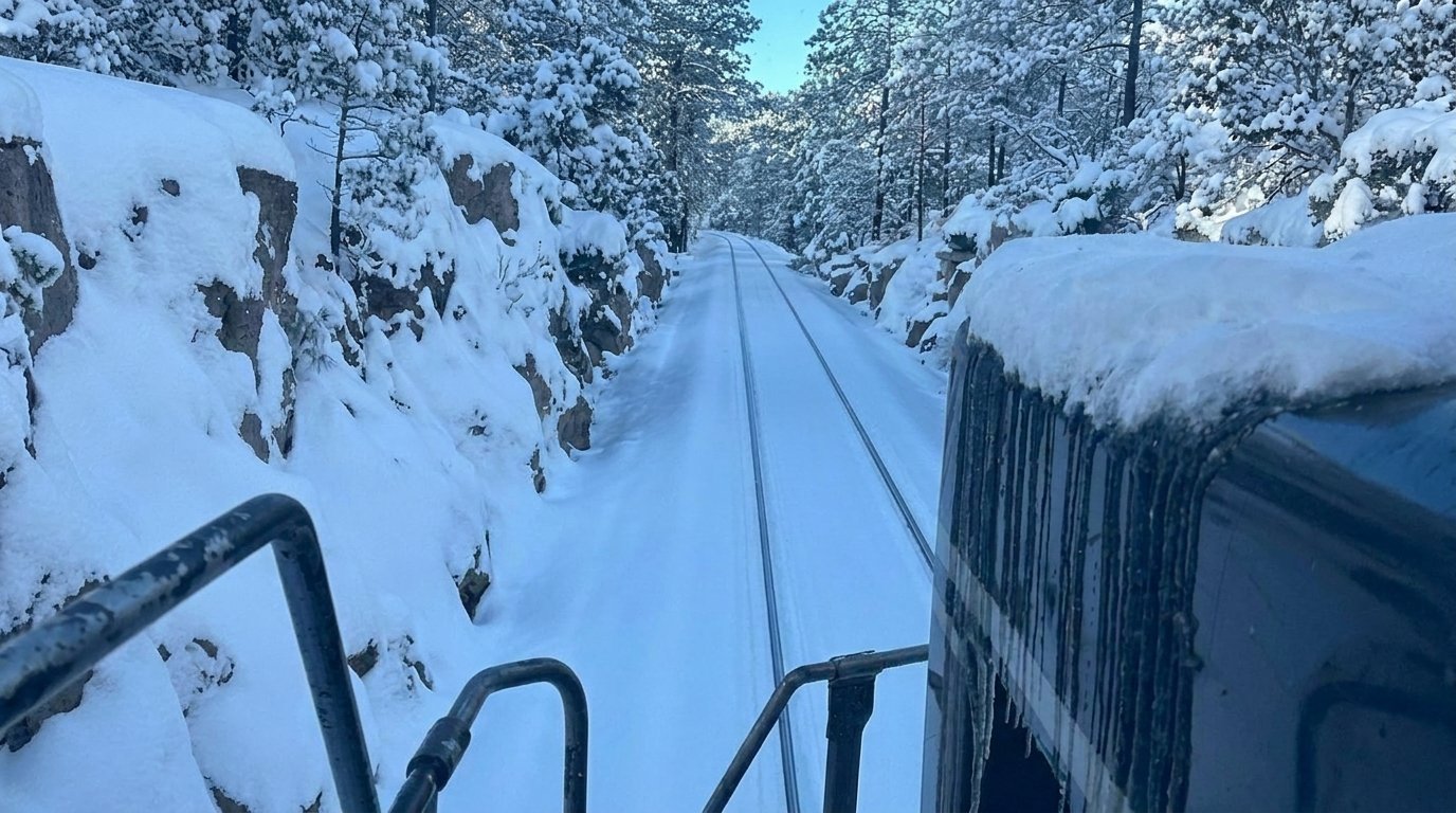 View from a train traveling along snowy railroad tracks through a forested winter landscape