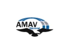 AMAV logo featuring a silhouette of Texas with blue arc and horizontal lines